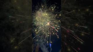 Purple Haze 150 Shot Firework [upl. by Narmis108]