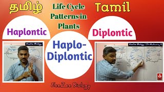 Haplontic  Diplontic  HaploDiplontic  Life Cycle Patterns in Plants [upl. by Arev]