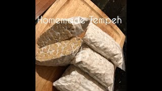 Homemade Tempeh without dehulled  easy method and fast  tasty vegan and vegetarian friendly [upl. by Paulina]