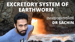 excretory system in earthworm  malayalam  anatomy of earthworm  knowledge vlogger  nephridium [upl. by Stearns942]