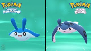 How to Find Mantyke amp Evolve Into Mantine in Pokemon Brilliant Diamond amp Shining Pearl [upl. by Atinuhs]