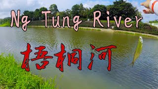 HK Fishing Lures Fishing in Ng Tung River 梧桐河 假餌 路亞 [upl. by Sophi459]