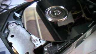 Maxtor 2F020J0 Hard Disk Drive Exposed [upl. by Waechter125]