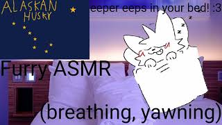 Furry ASMR Eepy boykisser eeps in your bedyawning sounds [upl. by Isied640]