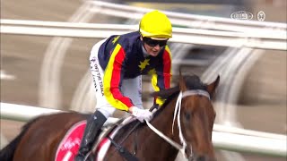 Goldrush Guru – Penfolds Victoria Derby – Penfolds Victoria Derby Day Race 7 [upl. by Anert]