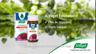 AVogel Echinaforce  Immunité et résistance naturelle [upl. by Erl]