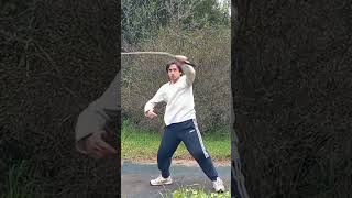 Kung Fu Bullwhip shorts martialarts bullwhip [upl. by Artinad870]