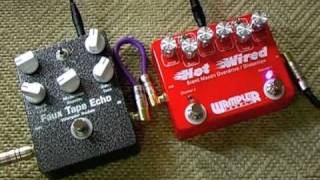 Wampler Hot Wired ODDist with Tele and Faux Tape Echo [upl. by Melodee]