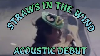 Straws In The Wind Acoustic Debut Live In Detroit 2024  King Gizzard amp The Lizard Wizard [upl. by Milda]