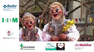 Therwil  die 99er Fasnacht 2018 [upl. by Purvis577]