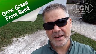 How To Grow Grass From Seed  Lawn Bare Spot Repair [upl. by Hellene]