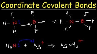 What is a Coordinate Covalent Bond [upl. by Immot]