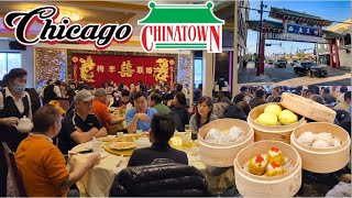 Chicago Chinatown  Imperial Restaurant Dim Sum Food Review [upl. by Aihsrop]