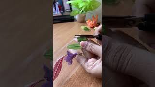 Diy pressed flowers 🌺✨art drawingtutorial journaling aesthetic aestheticvideo flowers [upl. by Fairley553]