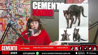 071024  ALICIA EN EL PAIS DE LAS MASCOTAS EN CEMENTORADIO [upl. by Eolanda]