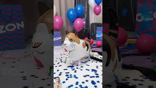 Cute cats broken love ❤️cat cats funny shorts [upl. by Aila387]