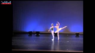 Joseph Gorak ABT La Bayadere Variation YAGP 2006 Age 16 [upl. by Ellett]