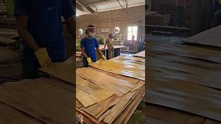 Plywood Manufacturing Company plywood manufacturing process [upl. by Samara794]