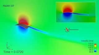 Flexible wing simulated with FLOW3D  Ala aeroelastica  Aile aérolélastique [upl. by Atirec699]