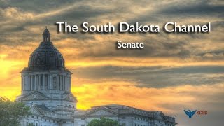 South Dakota Senate  LD 37 [upl. by Atiugal]