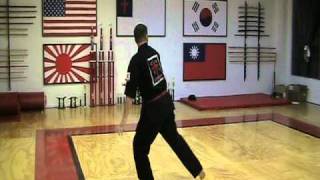 Tang Soo Do form 5 Pyong Ahn Ee Dan [upl. by Bonnice]