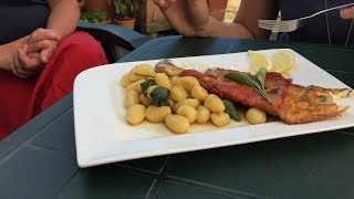 Zander Saltimbocca  HammerRezept ganz einfach zum Nachkochen [upl. by Assilat720]