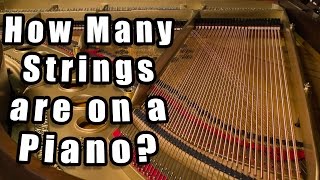 How Many Strings Does a Piano Have A Detailed Look [upl. by Ahsyen]