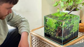 Simple LowTech Nano Aquascape Tutorial No CO2  No Filter  No Heater [upl. by Alletneuq]