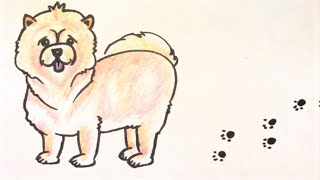 How To Draw Chow Chow Puppy  Easy amp Fun [upl. by Hnamik]