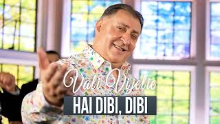 Vali Vijelie  Hai dibi dibi Official Music 2024 [upl. by Arahsit]