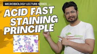 Acid fast staining  acid fast staining test principle and procedure [upl. by Nordine172]