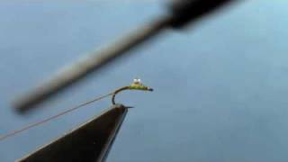 Fly Tying with Hans Bubble Back Midge [upl. by Eletnahc]