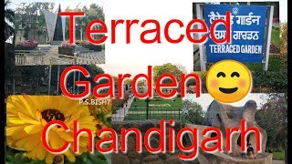 Terraced Garden ChandigarhThe city Beautiful ❤️ [upl. by Caresse]