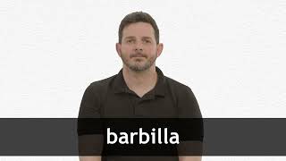 How to pronounce BARBILLA in European Spanish [upl. by Acnaiv]