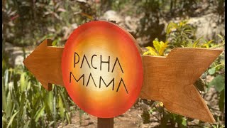 Welcome to PachaMama [upl. by Ahsenyt]