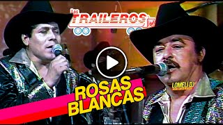 1991  ROSAS BLANCAS  Los Traileros del Norte  en vivo [upl. by Deanne]