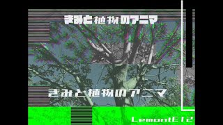 きみと植物のアニマ  LemontE12 [upl. by Panaggio]