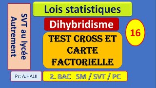 lois statistiques  Dihybridisme Test cross et carte factorielle [upl. by Levi]