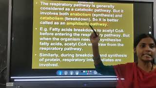 Biology  Amphibolic pathway and Respiratory Quotient [upl. by Meggi856]