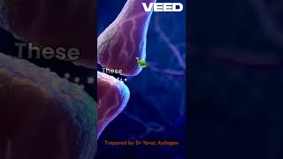 Pacemaker cells keep you alive shorts science heart 3d lecture music technology animation [upl. by Arlynne]