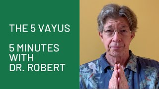 The 5 Vayus 5 Minutes with Dr Robert [upl. by Zorah]