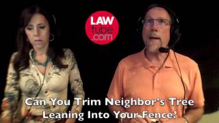 Can you trim neighbors tree leaning into your fence [upl. by Aciraa]