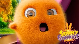 Cartoons for Children  SUNNY BUNNIES FULL SEASON 1  EP 1  26  Funny Cartoons For Children [upl. by Eniamrahs]