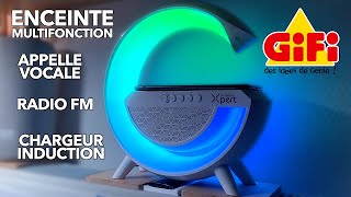 Enceinte multifonction bluetooth chez GIFI radio FM lecteur chargeur sans fil Homday Xpert lumisound [upl. by Eph]