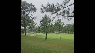 달랏 팔레스 골프 클럽 Da Lat Palace Golf Club [upl. by Dee Dee]