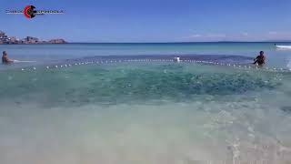 Pesca ARTESANAL De Rede No Canto Da PRAIA GRANDE EM ARRAIAL DO CABO RJ BRASIL 🇧🇷 [upl. by Lunneta]