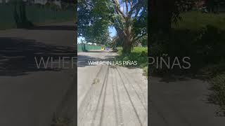 WHERE IN LAS PIÑAS [upl. by Heady]