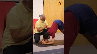 Mysore Yoga Practice  Matsya Krida  Bharatha Yoga Shala [upl. by Annerahs389]