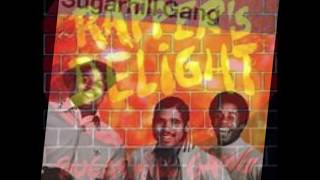 Sugarhill Gang  Rappers Delight [upl. by Alohcin]