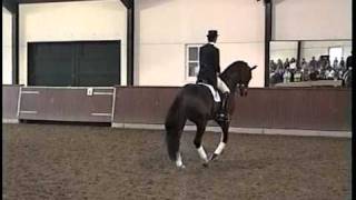 3 Leader Of World Ranking Dressage  GP KWPN stallion Jazz sCocktail [upl. by Ciapha]